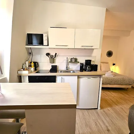 Apartment Studio- Hyper Centre Colmar