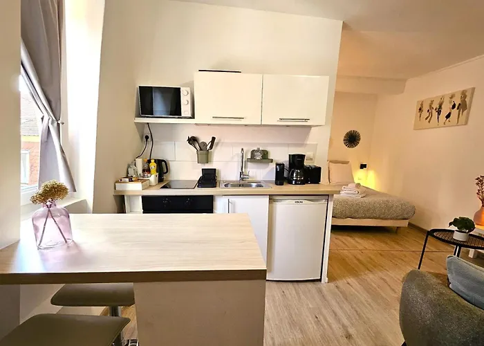 Lejlighed Studio- Hyper Centre Colmar