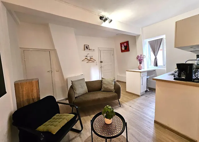 Lejlighed Studio- Hyper Centre *