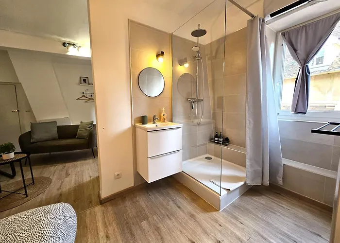 Studio- Hyper Centre Colmar